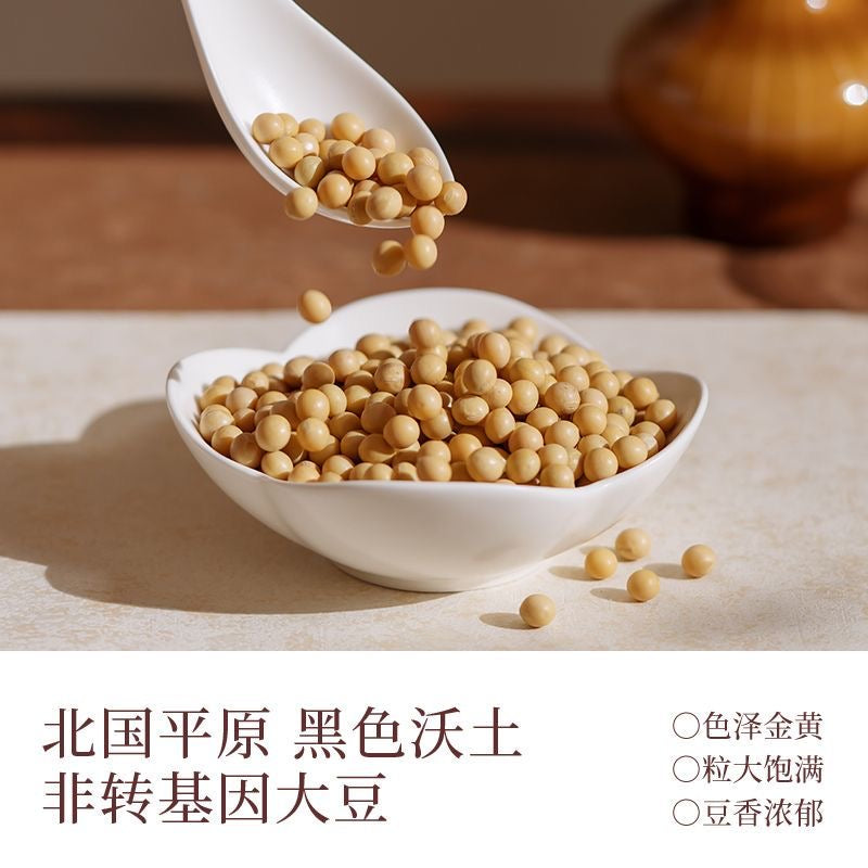 Xichun Yam & Lion’s Mane Soy Powder – Support Digestion & Antioxidant Health